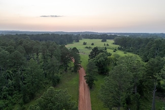 S Cr 173, Overton, TX 75684