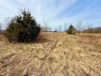 0 Hudson Rd Unit LotWP001 23156040, Pittsford, MI 49271