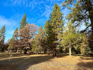 0 Merganser Rd Unit Lot 106 220174097, Klamath Falls, OR 97601