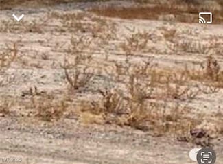 2380 N Leslie St, Pahrump, NV 89060