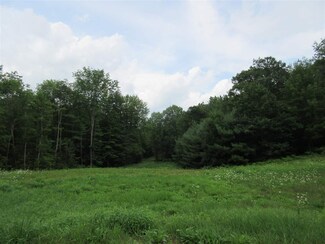 00 Center of Town Rd, Plainfield, NH 03781
