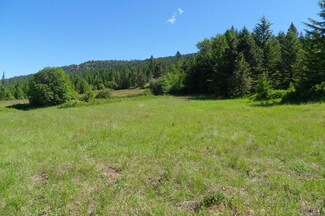 1904 Old Cc Rd, Addy, WA 99101