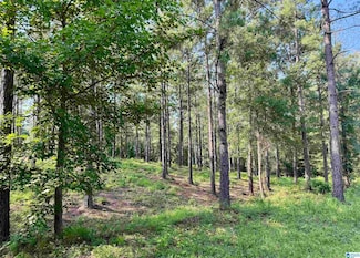 2873 County Road 49 Unit 2, Chelsea, AL 35051