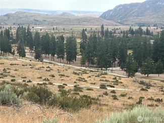 10 Landers Rd, Malott, WA 98829