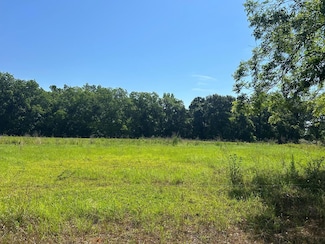 0 Jimbo Rd, Cowarts, AL 36321