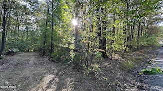 58 Salem View Dr, South Canaan Township, PA 18472