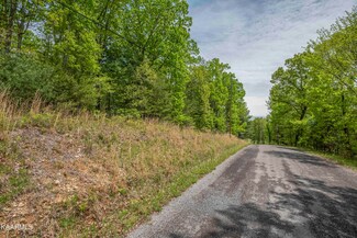 Lot 215 Hickory Dr, Spring City, TN 37381