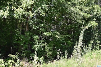 0 Old Sylacauga Hwy Unit 21388552, Sylacauga, AL 35150