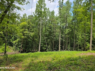 278 Norman Rd, Powell, TN 37849