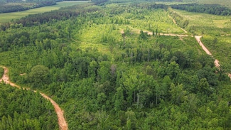 0 Willingham Bottom Rd, Eupora, MS 39744