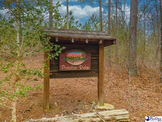 1570 Mary D Rd, Chesterfield, SC 29709