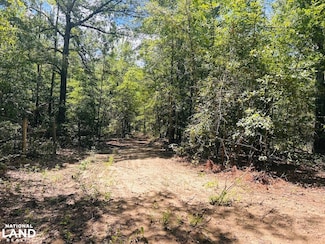 0 Moores Chapel Rd Unit 23870534, Mauk, GA 31058