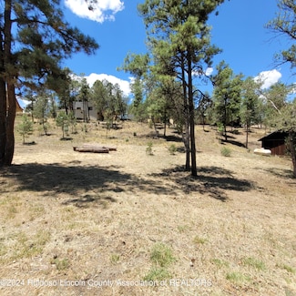 206 Marble Dr, Ruidoso, NM 88345
