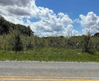 lot 16 Vanzille Ln, Athens, AL 35611