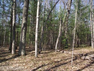 0 E Koenig Rd Unit 14025022, Free Soil Township, MI 49411