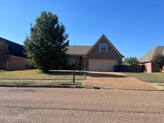 7865 Alexander Rd, Olive Branch, MS 38654