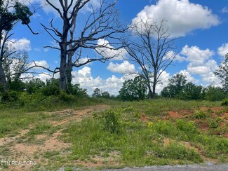 11 Laura Boling Loop Rd, Strawberry Plains, TN 37871