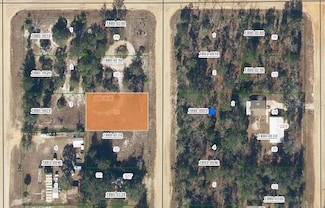 00 Maltas Ave, Interlachen, FL 32148