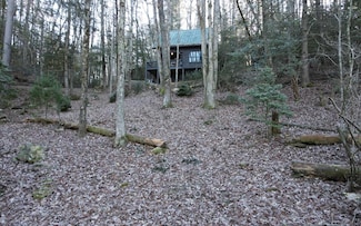 226 Pinetree Dr, Blue Ridge, GA 30513