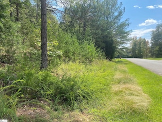 203 W Peninsula Dr, Laurens, SC 29360