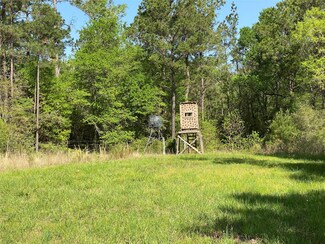 67.75 acres Tract B County Road 215, Anderson, TX 77830