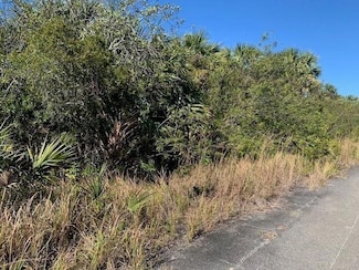 0 Ginryo Rd SW, Palm Bay, FL 32908