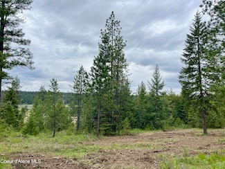 12 Acres Elizabeth Ln, Athol, ID 83801