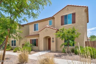 10917 E Palmetto Pointe Trail, Tucson, AZ 85747