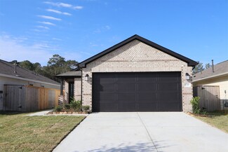 17210 Black Ash Ct, New Caney, TX 77357