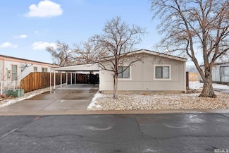 788 Chari Dr, Mound House, NV 89706
