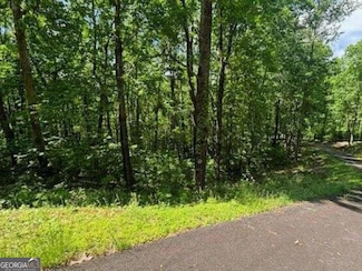 Lot 90 Rocky Knob, Young Harris, GA 30582