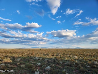 2306 Winter St Unit 100, Williams, AZ 86046