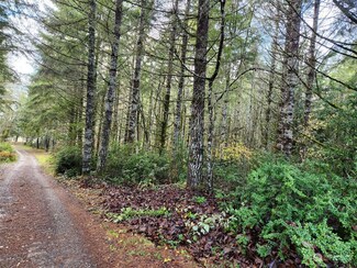 4120 W Shelton Matlock Rd, Shelton, WA 98584