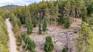 0 Andermatt Dr Unit 9993138, Tehachapi, CA 93561