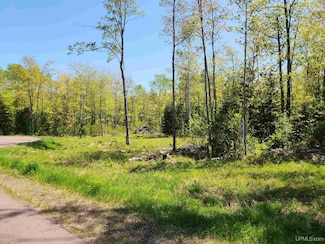 Unit 6 Greenway Dr, Houghton, MI 49931