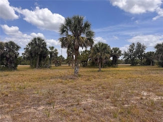 18 Redbud Ct, Meadows and Villas, FL 33946