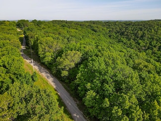 000 Mountain Estate Dr, Pine A Township, MO 65611