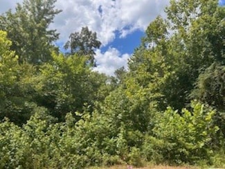 1080 Slate Creek Way, Hot Springs Village, AR 72087