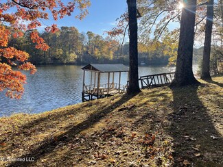 11363 Wetupka Way, Hernando, MS 38632