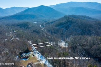 0 Ardell Way Unit 1278692, Cosby, TN 37722