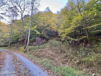 0 Indian Creek Ln, Bristol, VA 24202