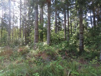 0 Alpenridge Rd, Kelso, WA 98626