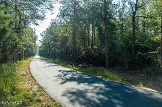 0 Jernigan Rd, Leakesville, MS 39451