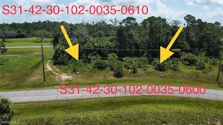 1384 Argosy Cir, Labelle, FL 33935