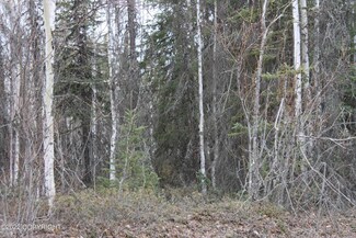 1042 N Big B Dr, Big Lake, AK 99654