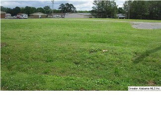0 Mccall St Unit .5 AC 597304, Altoona, AL 35952