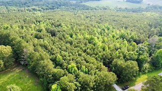 0 County Road 431, Newell, AL 36280