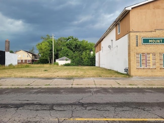 8816 Puritan Ave, Detroit, MI 48238