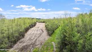 L37.12 Street Rd, Altamont, NY 12009