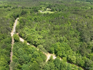 0 Yorkville Rd, Ethelsville, AL 35461